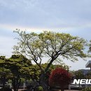 채운 이미지