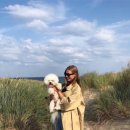 마켓바오 이미지