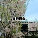 주근깨언니네 | 화담숲 벚꽃 시즌 예약팁 주차 모노레일 추천코스 2026년 4월 14일 기준 방문후기