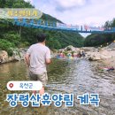 물놀이 감시 | 장령산자연휴양림 계곡 물놀이 당일치기 후기