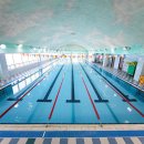 대영 스포렉스 이미지