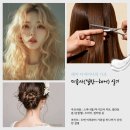미용사(네일) 자격증 실기 티스토리