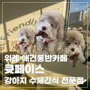 큣페이스 이미지