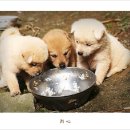 나도 - 영광군 천년로 4-1 | 나도