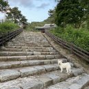 전계심의 묘비 이미지