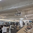 프로원휘트니스 신월 네이버블로그