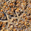 낙동주유소 이미지