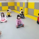 한국체대 진 태권도장 이미지