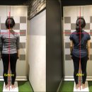 베이스오브바디 이미지