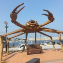 대진항 대게공원 이미지