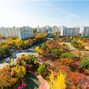 목동동로6길 이미지