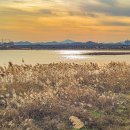 영강체육공원길 | 문경 걷기 좋은 길 영강체육공원 영강 보행교 출렁다리