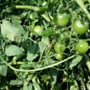 법환동-20 이미지