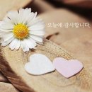 12월 14일(일요일) 송년 댄스파티 모임 참석자명단 이미지