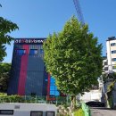 라온 골프연습장 스크린 이미지