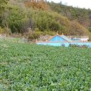 순이네농장 이미지