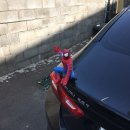 르노삼성자동차지정정비코너(양정점) 이미지