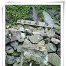 모천약수터 | 제043회(2005.05.29.日)-봉래산(0394.6) ①