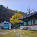 계절의 향기 이미지