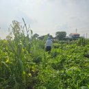 송하농장 이미지