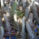 솔골농장 이미지