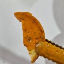 떡슐랭은계지구점 | 시흥 은계지구 맛집_떡슐랭 메뉴 '로제분모자떡볶이' 맛 후기 및 가격