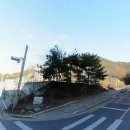 2차보성 이미지