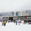 비발디모텔 | 비발디파크 시즌권 시즌패스 할인가격 아이 무료 혜택 강원도 홍천 스키장