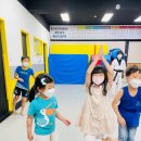 경희대 신성 태권도장 이미지