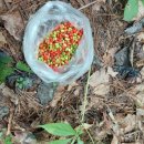 현동농장 이미지