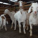 삼태농장 이미지