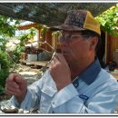 사도한옥(장기관) 이미지