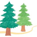 차차펫살롱 이미지