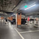 등촌증미역정형외과의원 | 강동구 성내동 정형외과 정리 비교-성모정형외과 상일정형외과 천호에스 강동탑