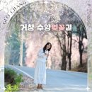 거창군남상면임불보건진료소 | 거창 가볼만한곳 수양벚꽃길 임불마을 병곡마을 용원정