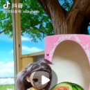 아리유