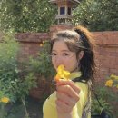 하이안경 이미지