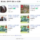 그늘막4 이미지