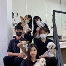 김해유치원 이미지