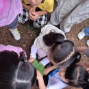 녹야어린이집 이미지