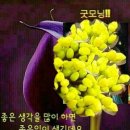 꽃편지길 이미지