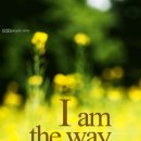 언양알프스시장 이미지