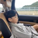 단잠 민박 | 삼척 해변 무료 노지캠핑 가능한 신남해수욕장 1박2일 여행