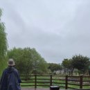 수산제역사공원 | 밀양 강아지 비 오는 날 산책하기 좋은 곳 수산제역사공원 후기