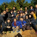 남초등학교 이미지