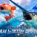 탑피싱 - 완도군 장보고대로 253-10 | 탑피싱