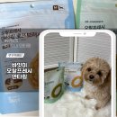 (주)미덴탈렙 | 강아지 덴탈껌으로 치석 관리 될까? 바잇미 덴타링 2달 사용 후기
