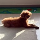 초윤헤어 | 11월