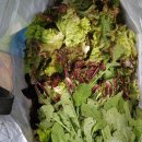 태우농장 이미지