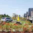 송당초등학교 병설유치원 네이버블로그